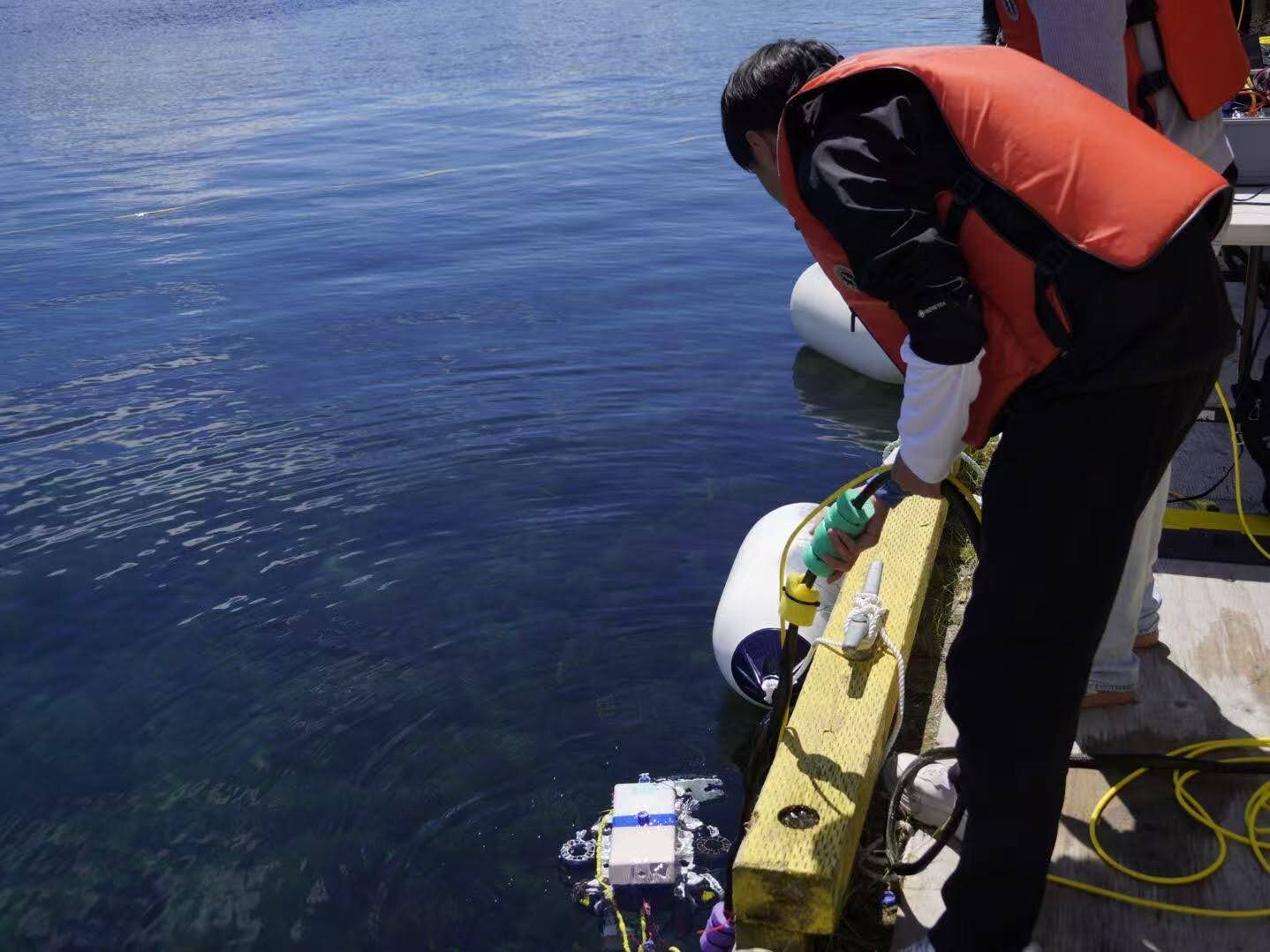 A student lowering the ROV into open sea water from a dock